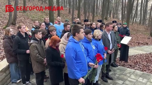 Белгородские волонтёры — какие они?